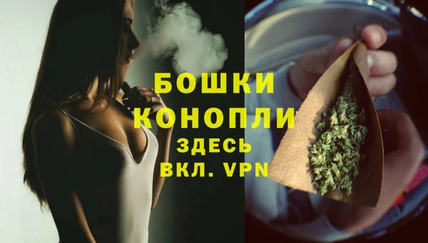 сатива Россошь