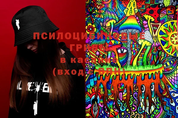 стафф Алексин