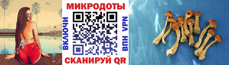 Псилоцибиновые грибы MAGIC MUSHROOMS Краснознаменск