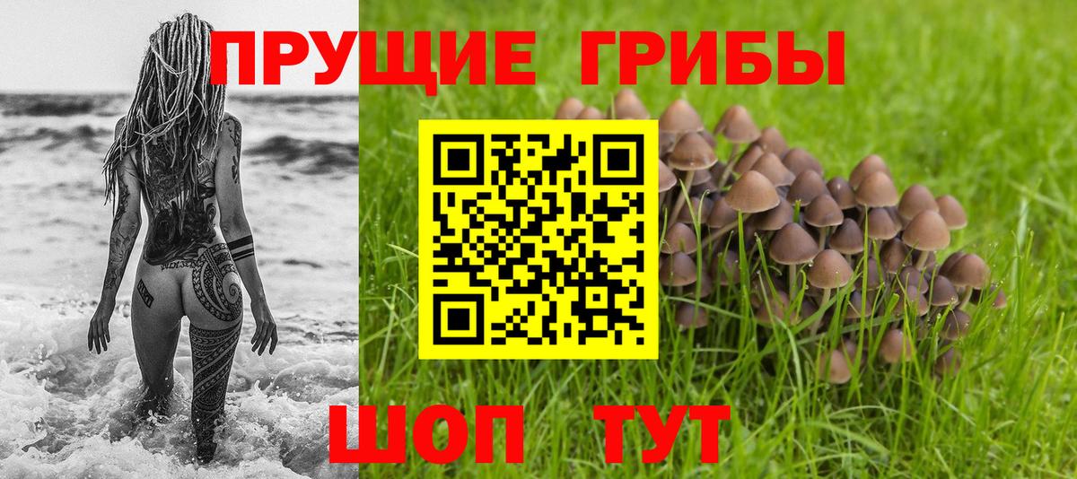 Псилоцибиновые грибы MAGIC MUSHROOMS  Галлюциногенные грибы Magic Shrooms  Вход с VPN  Краснознаменск 