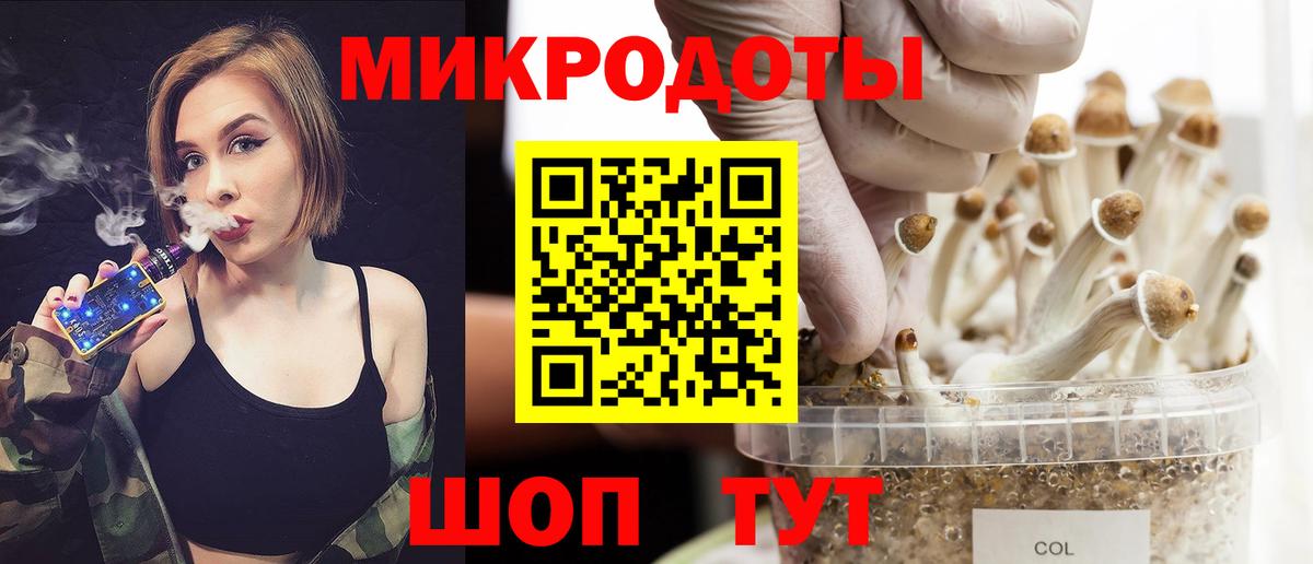 Псилоцибиновые грибы Cubensis Краснознаменск